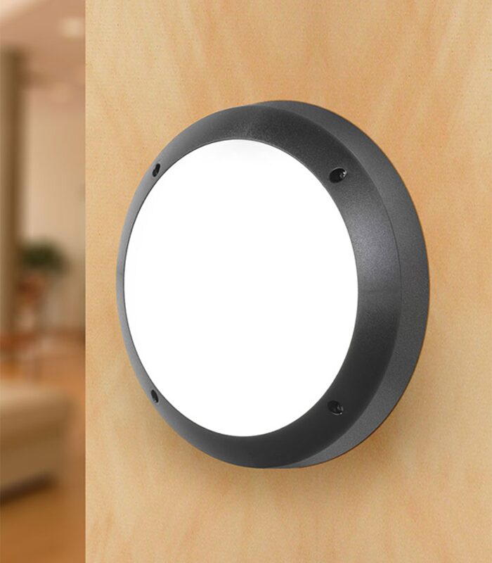 Plafonnier Circulaire Avec Anneau OP D313 E27