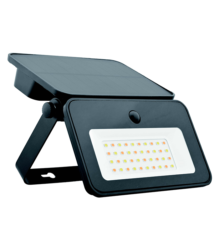 Projecteur Solaire avec Détecteur de Luminosité